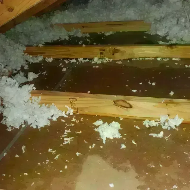 Attic Water Damage in Cutler, CA